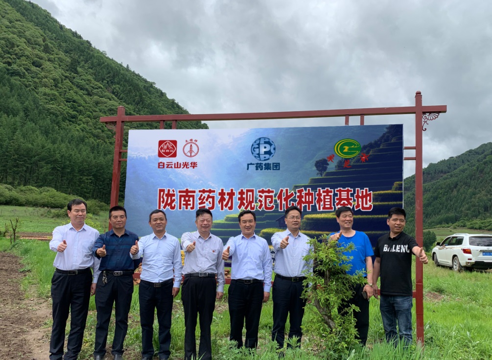 药材好，药才好 ——白云山小柴胡颗粒北柴胡规范化莳植基地正式揭牌！