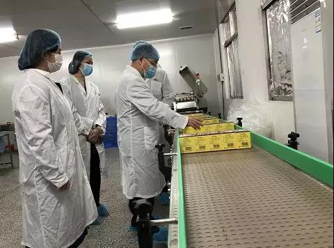 同心抗疫，确保质量！皇冠现金公司振隆厂外车间接受广药集团生产监视包管小组事情督导