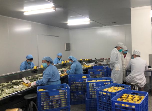 【初心如磐，使命在肩】皇冠现金第三党支部组织员工提前复工包管生产