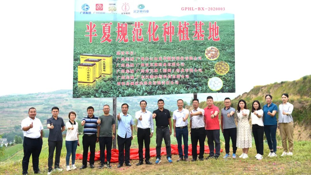 白云山皇冠现金公司实地考察调研中药材规范化基地